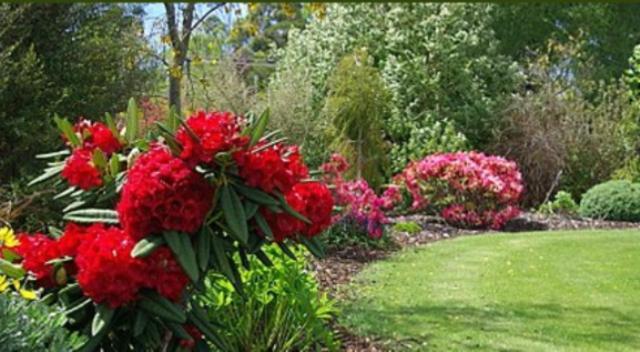 Tui Lodge Turangi Zewnętrze zdjęcie